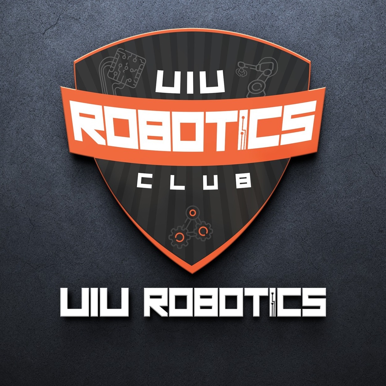 Introduction to Robotics Workshop for Kids